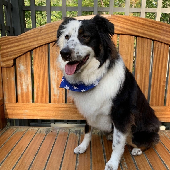 Meet your Posher, Christine - Picture 3 of 6